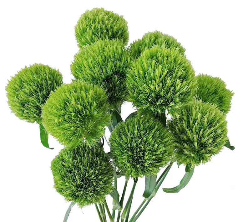 绿毛球~Green Tick