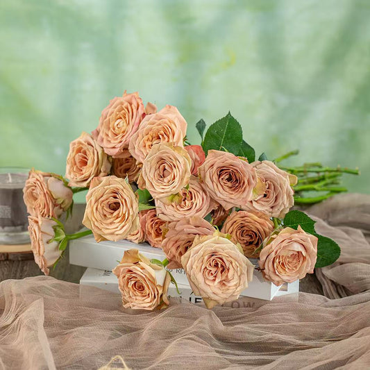 卡布奇诺玫瑰~Cappuccino Rose