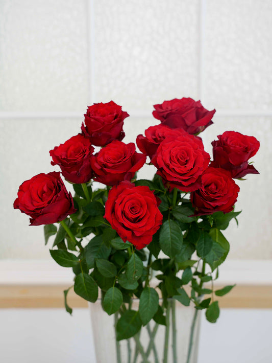 高原红玫瑰~ Plateau Red Rose