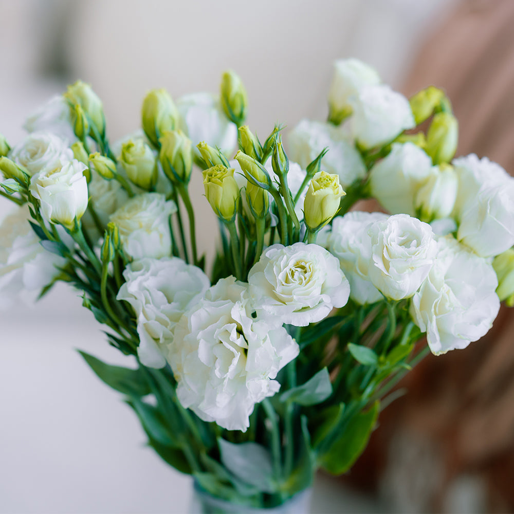 洋桔梗~Eustoma