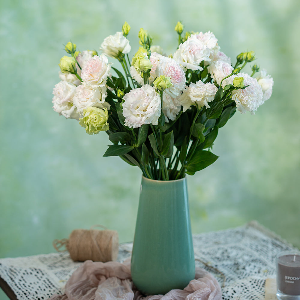 洋桔梗~Eustoma