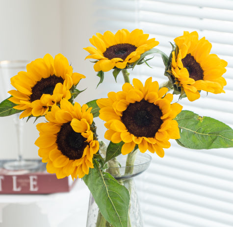 向日葵~Sunflower