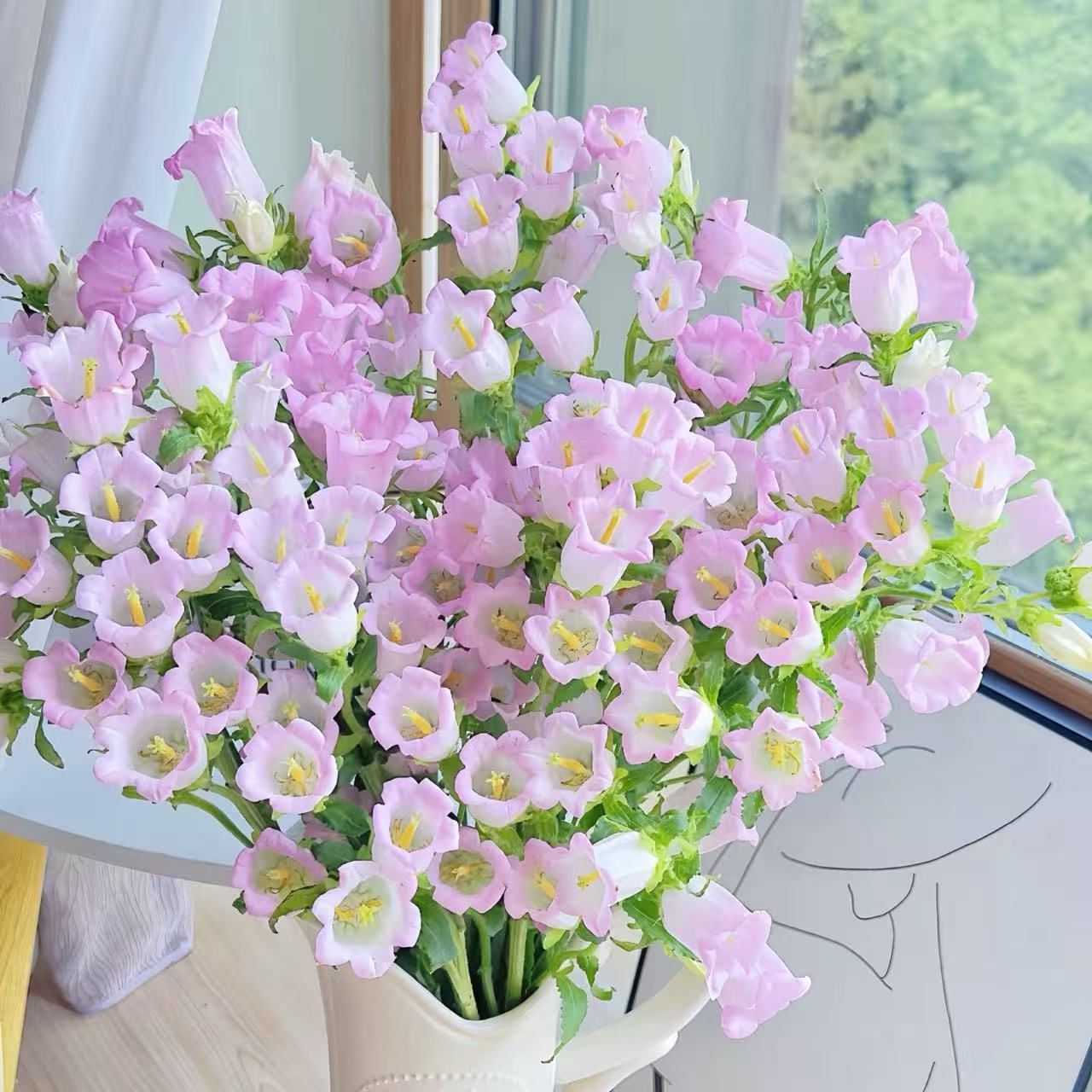 风铃花~Bell Flower