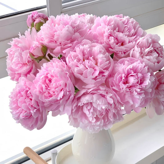 牡丹花 粉色~Peony Pink