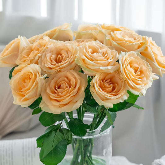 香槟玫瑰 ~ Champagne Roses